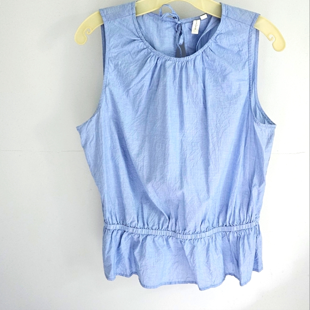 Treasure & Bond oxford blue top sleeveless